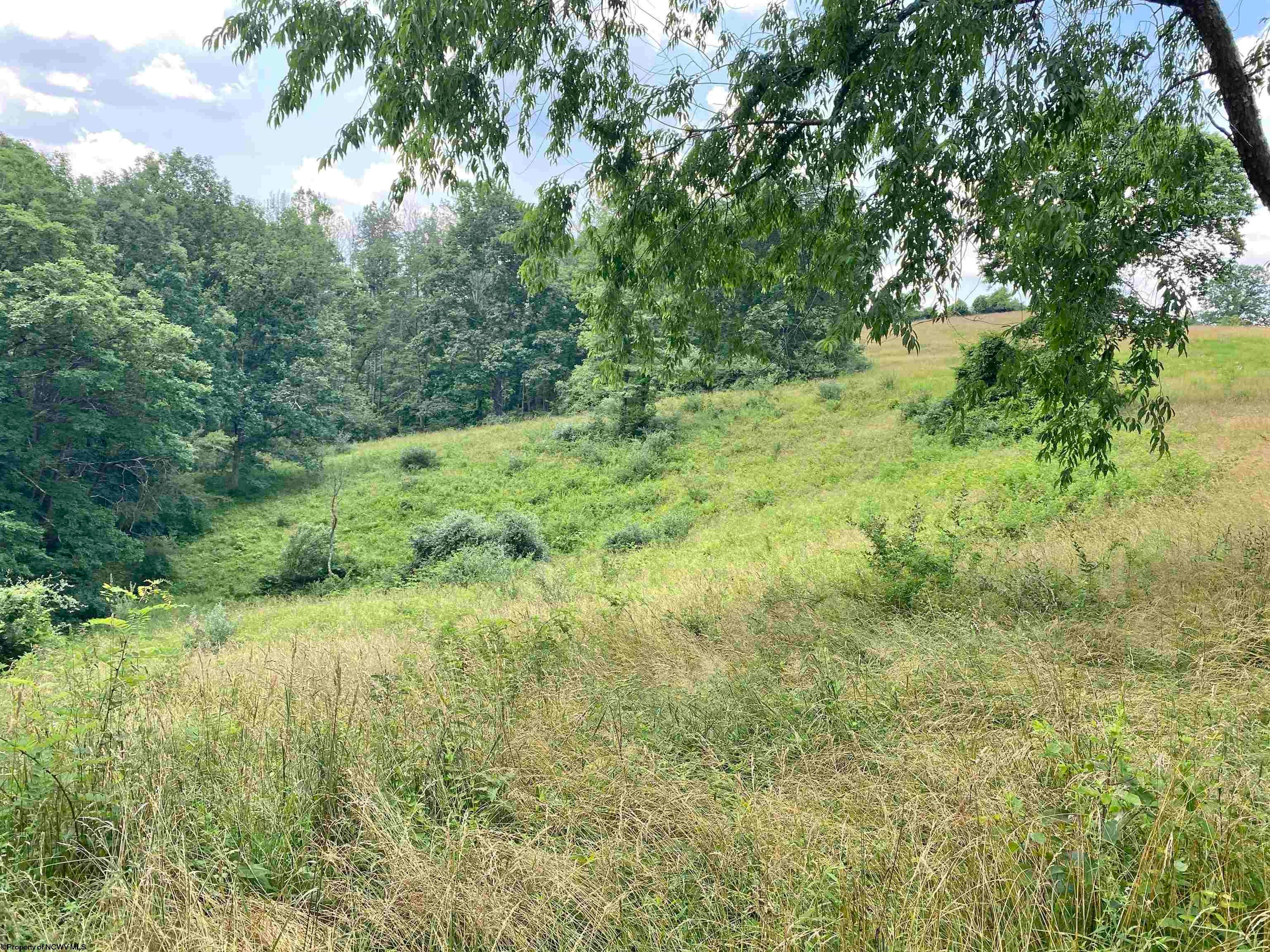 2488 Mount Etna Ridge Road Poca, WV 25159 - Photo 32 of 50 Gallery Image 32