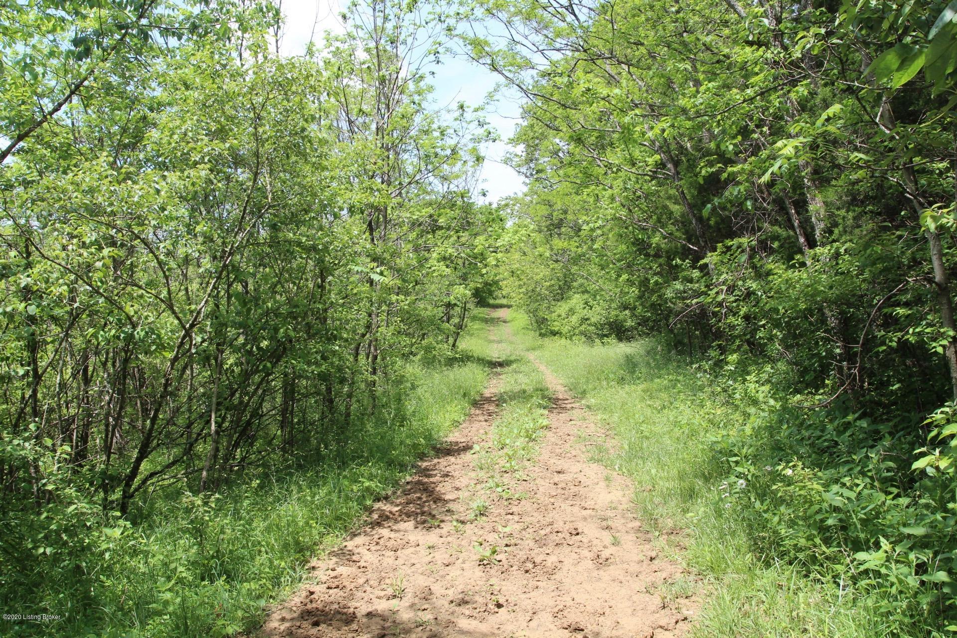 0 Morton Ridge Road Bedford, KY 40006 - Photo 23 of 48 Morton Ridge Farm