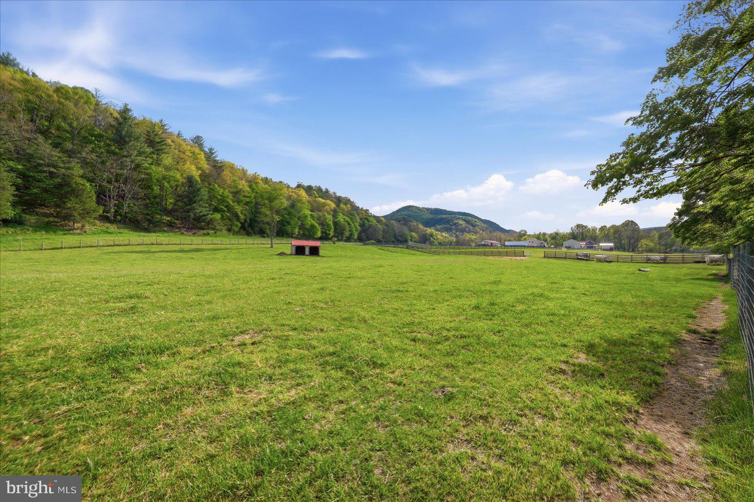15095 Little Dry River Road Fulks Run, VA 22830 - Photo 119 of 144