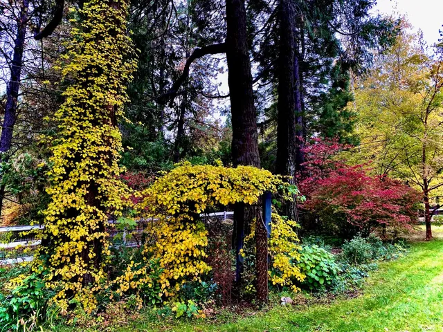 $750,000 | 15026 Wabash Avenue, Grass Valley, CA 95945