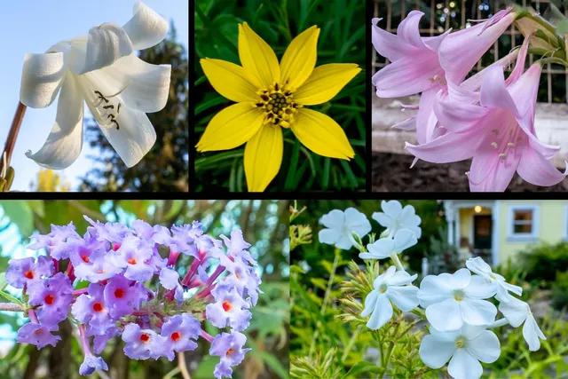 $750,000 | 15026 Wabash Avenue, Grass Valley, CA 95945