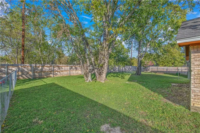 a view of a park with large trees