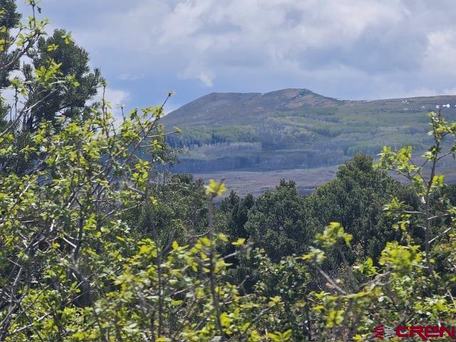 7 Government Springs Road Montrose, CO 81403 - Photo 2 of 5 Gallery Image 2