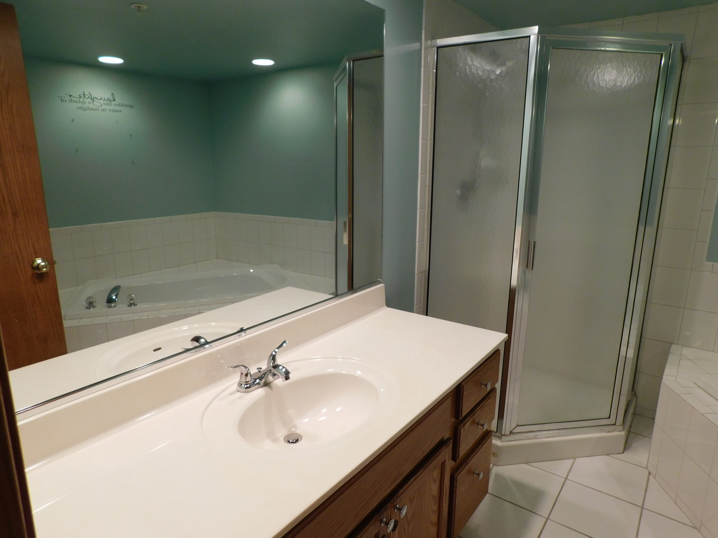 18100 Rita Road, Unit 1B Tinley Park, IL 60477 - Photo 20 of 24 a bathroom with a sink a mirror and a bathtub