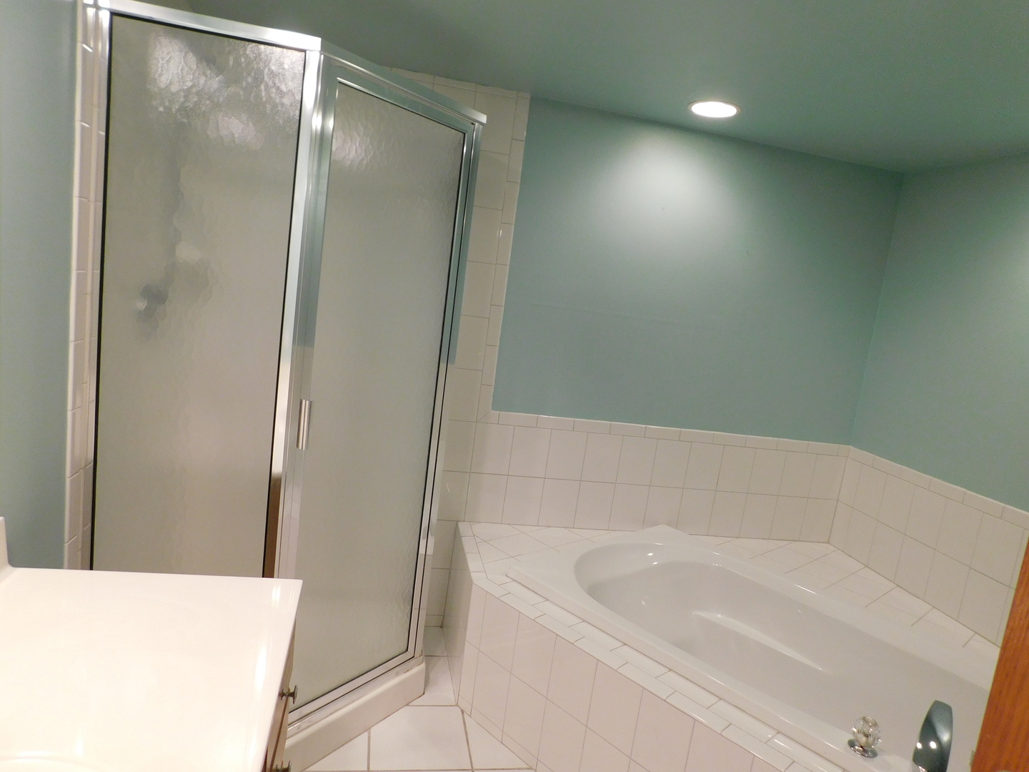 18100 Rita Road, Unit 1B Tinley Park, IL 60477 - Photo 21 of 24 a bathroom with a bathtub and shower