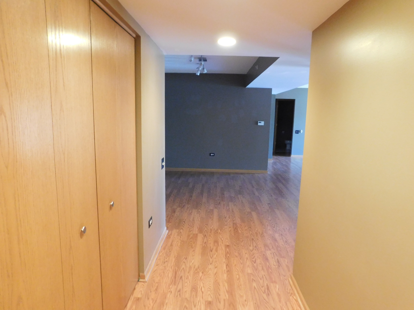 18100 Rita Road, Unit 1B Tinley Park, IL 60477 - Photo 6 of 24 a view of a hallway