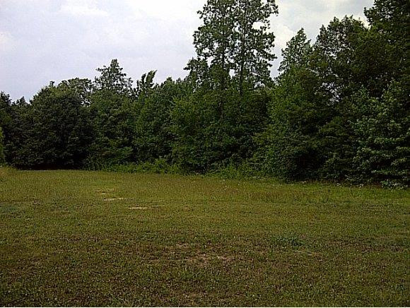 5569 Byrd Road Burlington, NC 27217 - Photo 18 of 19 Gallery Image 18