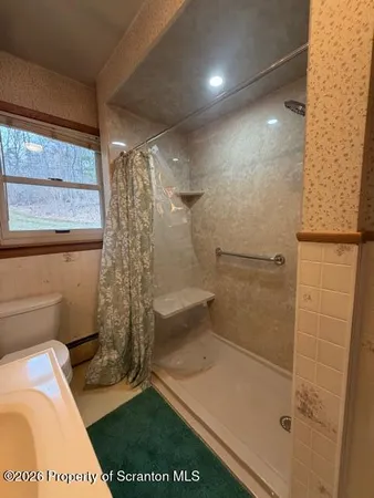 a bathroom with a shower and a toilet