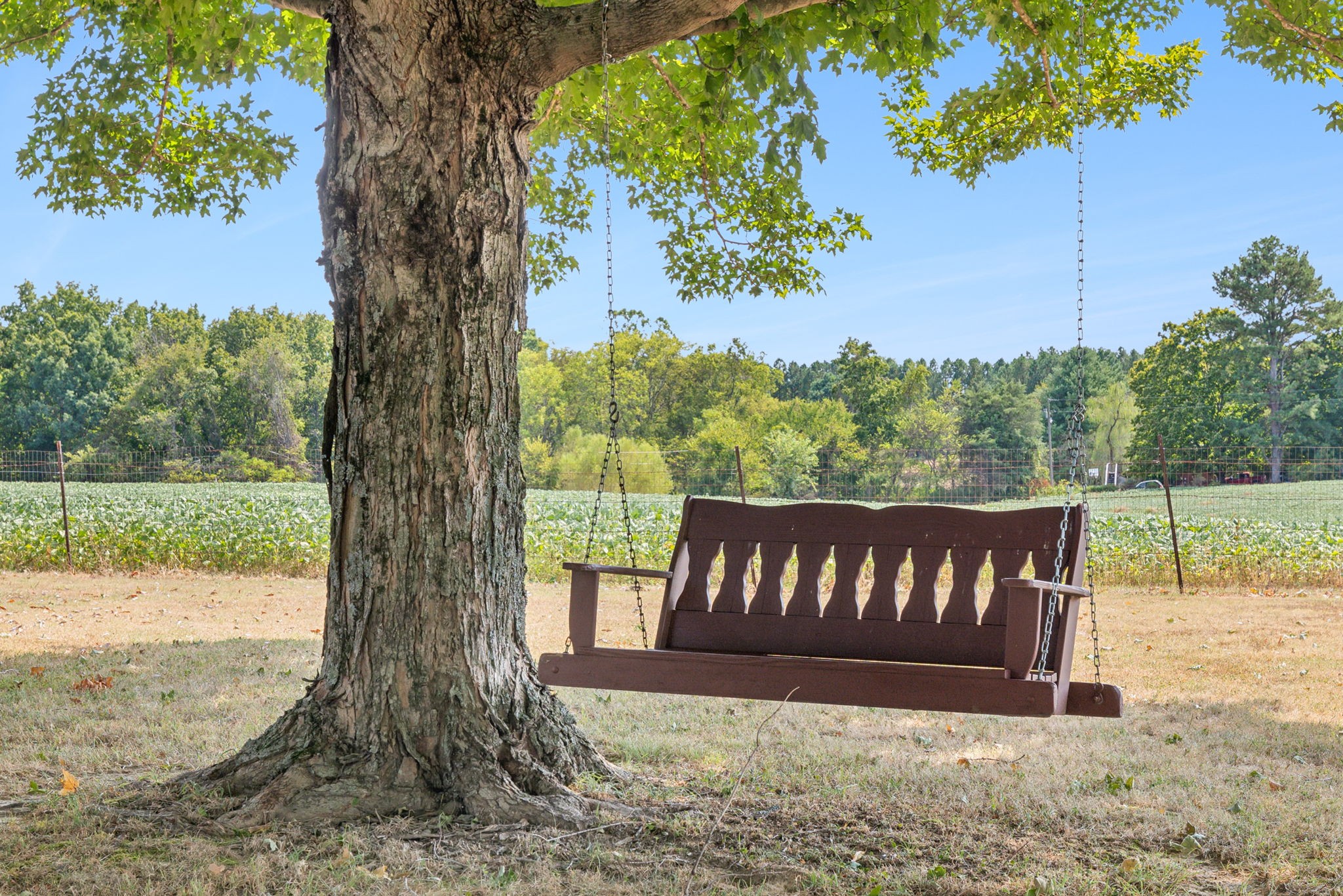 7027 Moore Road Greenbrier, TN 37073 - Photo 41 of 48 Gallery Image 41