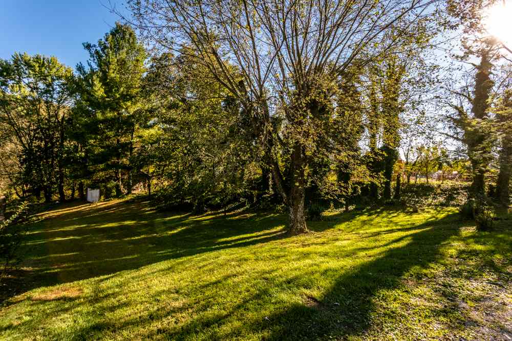 12224 Turleytown Road Broadway, VA 22815 - Photo 29 of 34 Gallery Image 29