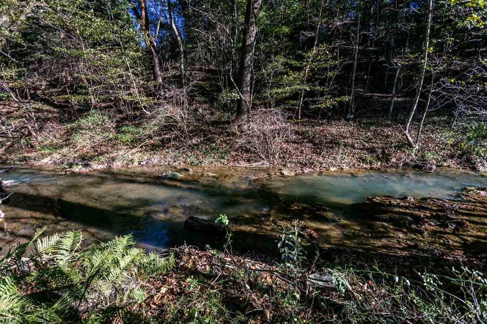 12224 Turleytown Road Broadway, VA 22815 - Photo 33 of 34 Gallery Image 33
