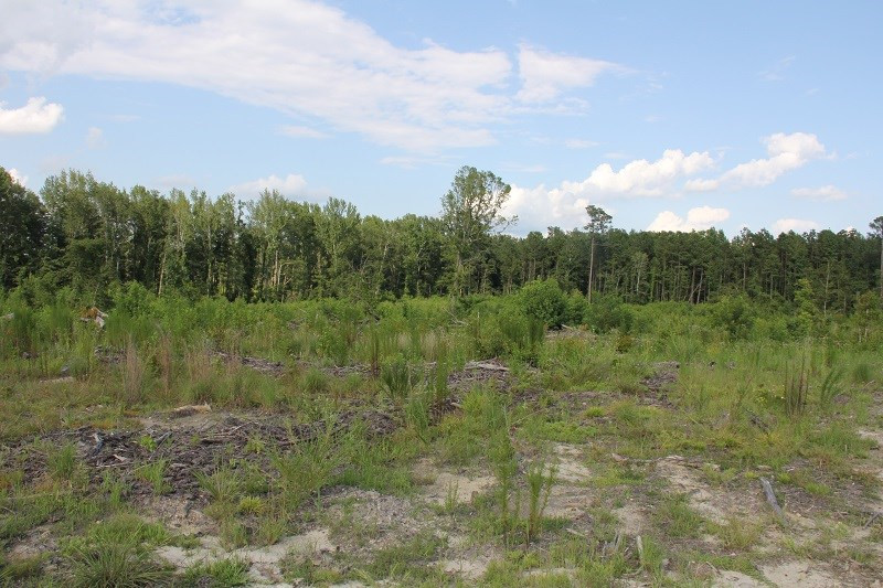 Bair Road St. Matthews, SC 29135 - Photo 3 of 5 Photo 3