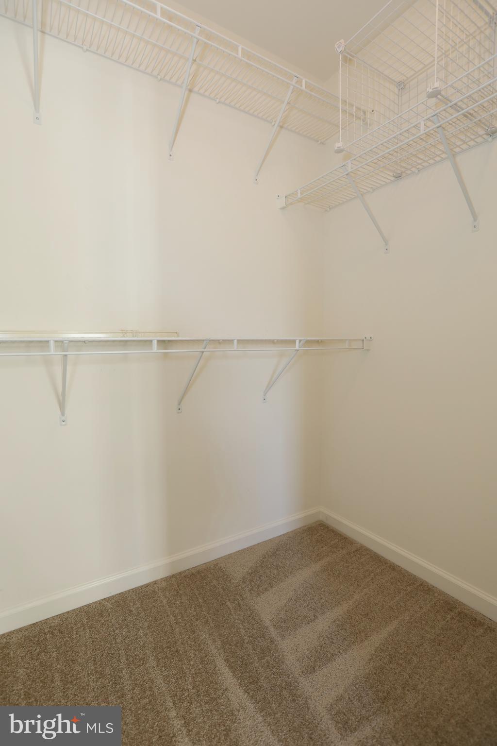 14205 Reidhall Place Gainesville, VA 20155 - Photo 28 of 54 Owner Suite Walk-in closet #1