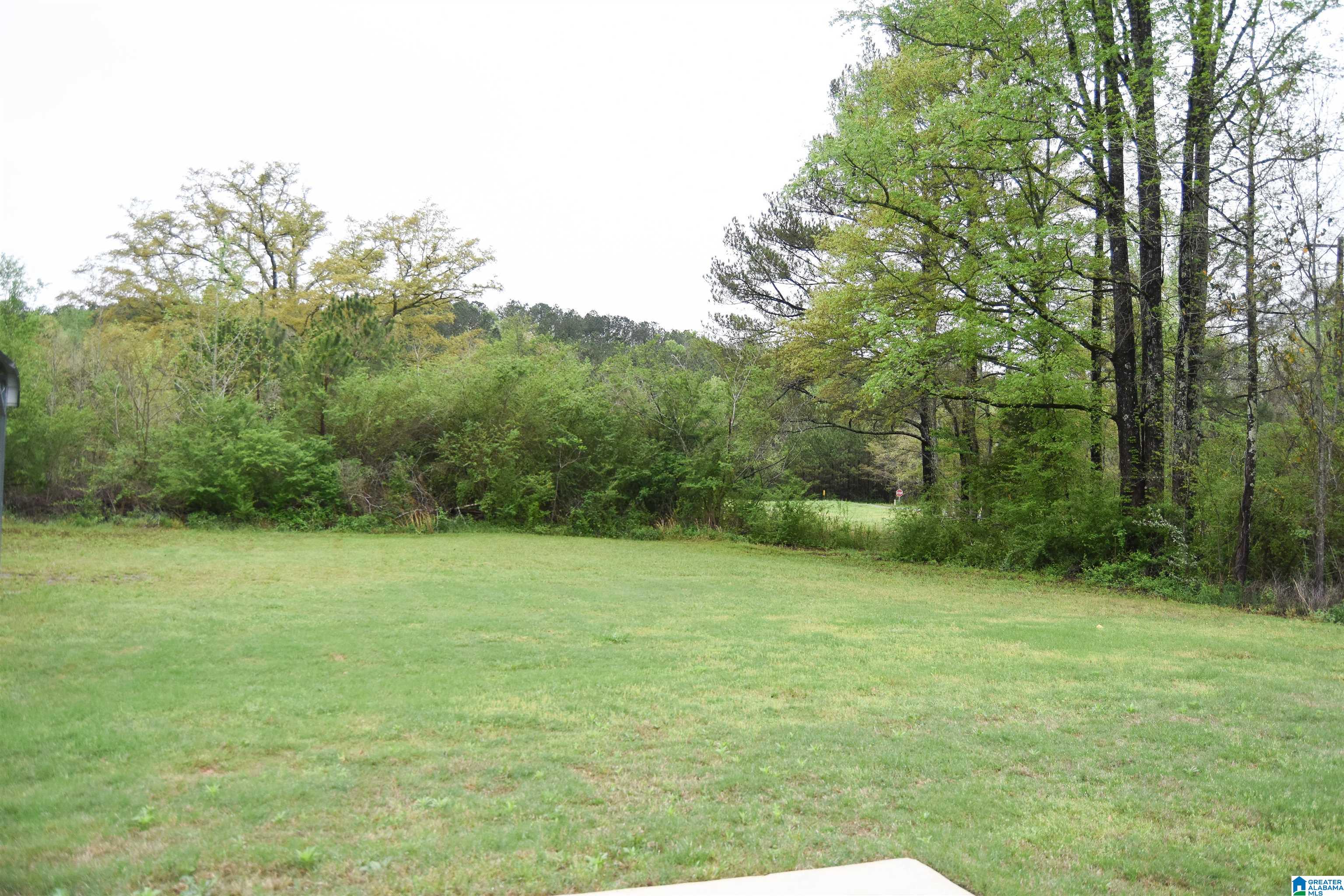 634 Twin Ridge Lincoln, AL 35096 - Photo 45 of 46