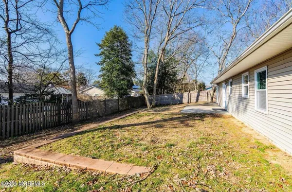 a view of a backyard with a large tree