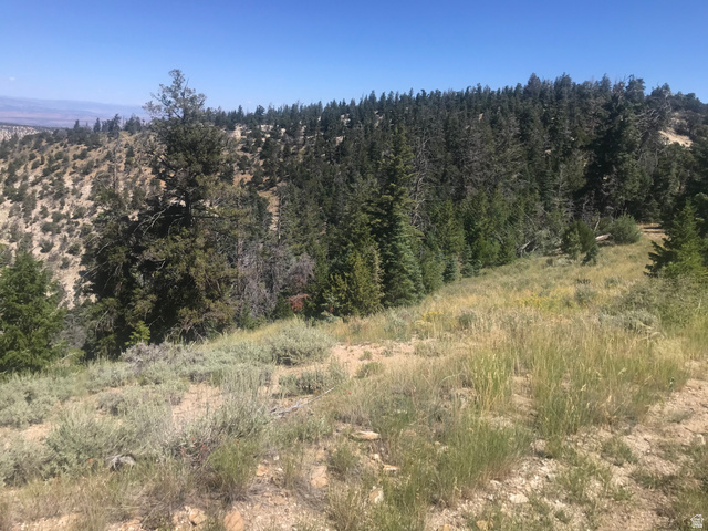Undisclosed Address Duchesne, UT 84021 - Photo 9 of 29