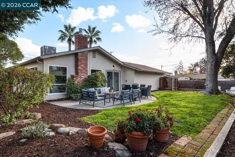 a view of a backyard with plants and a garden