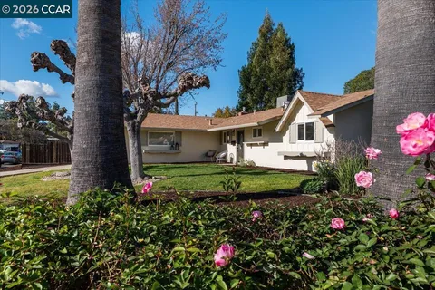 a view of a house with a big yard and a large tree