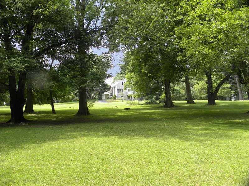 67 Peach Hill Road Darien, CT 06820 - Photo 2 of 25 a view of a trees in a yard