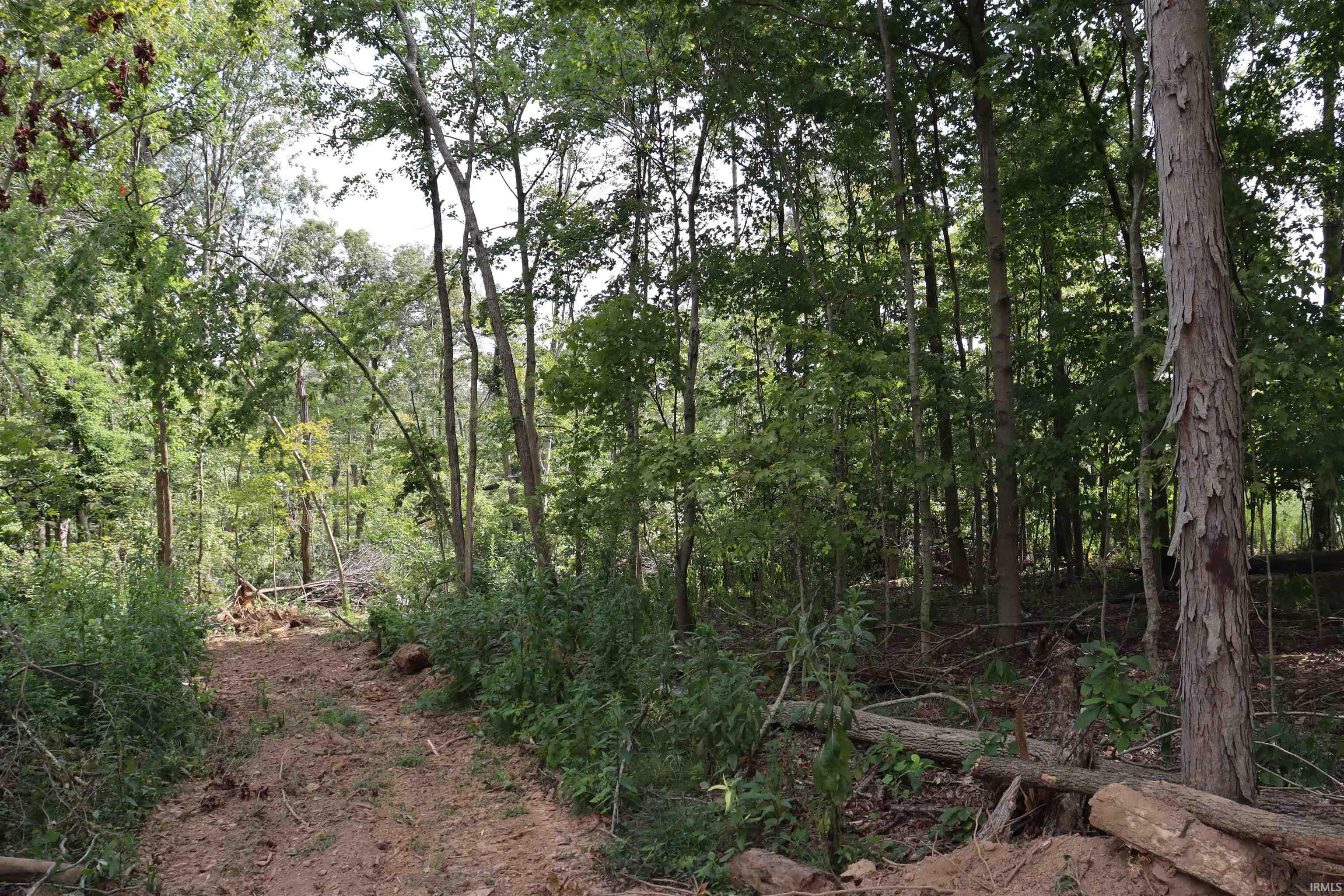 2 North Cuzco Road South French Lick, IN 47432 - Photo 7 of 15