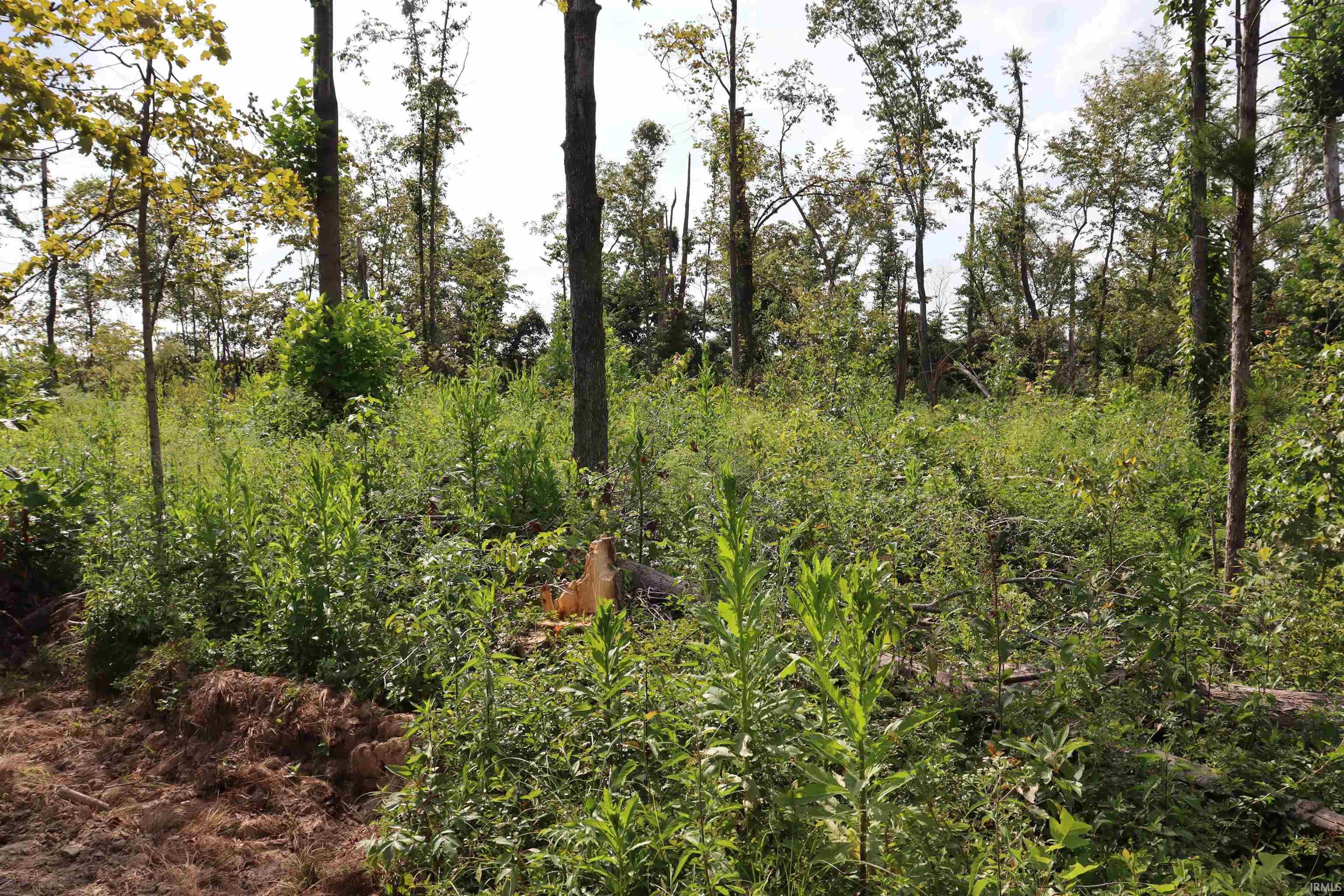 2 North Cuzco Road South French Lick, IN 47432 - Photo 8 of 15