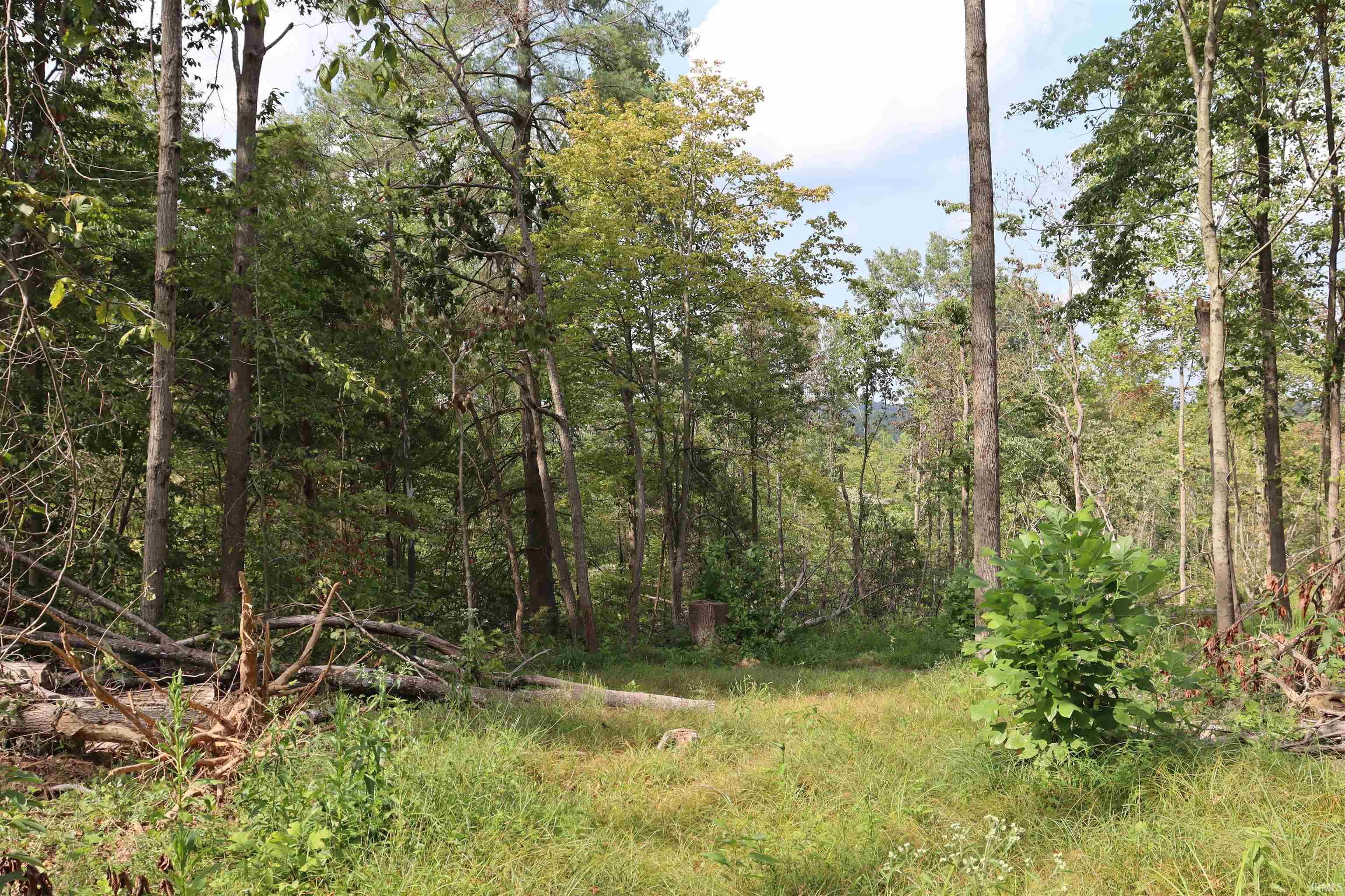 2 North Cuzco Road South French Lick, IN 47432 - Photo 9 of 15