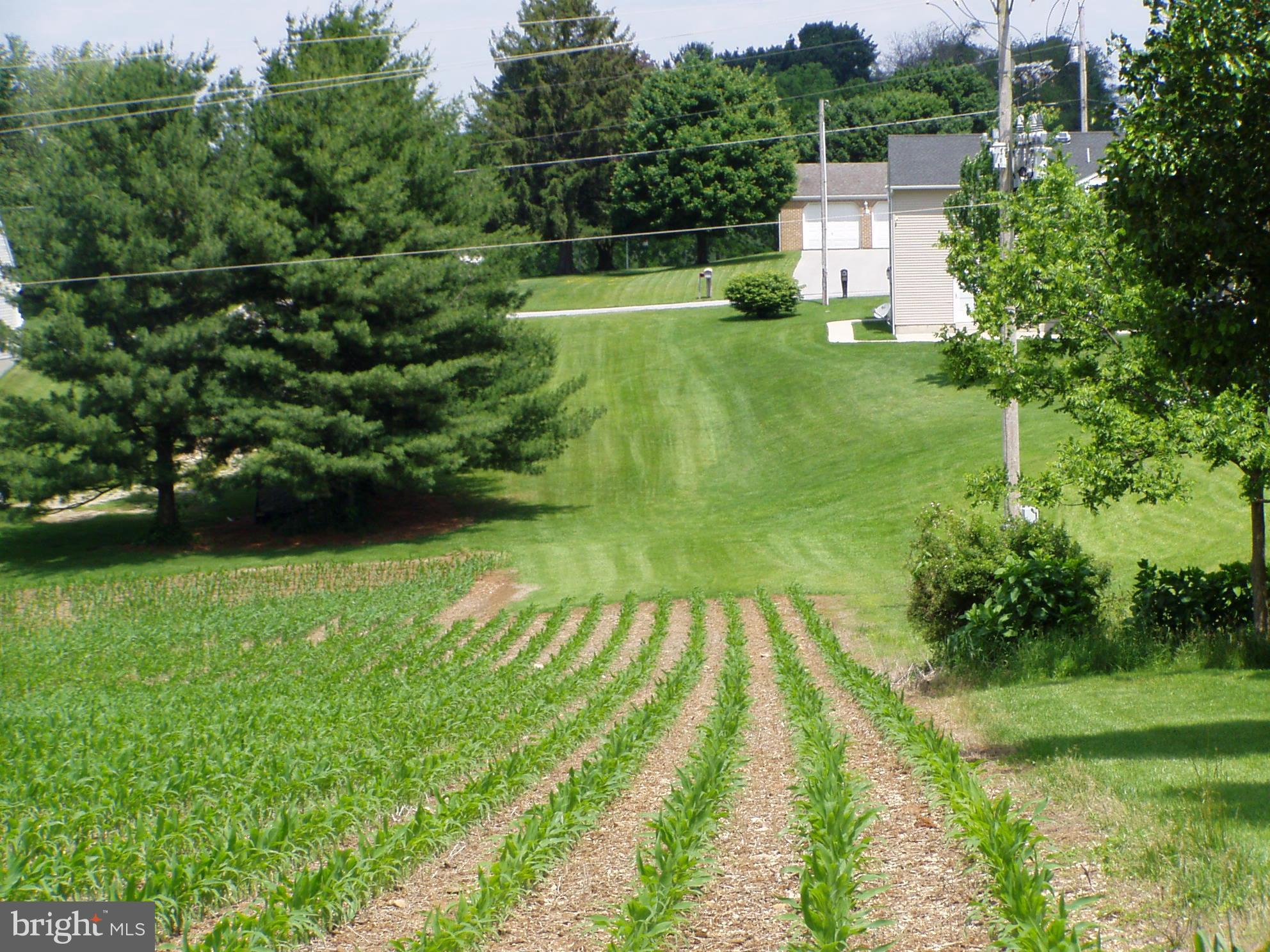 Sherwood Road York, PA 17408 - Photo 1 of 6 View looking to entrance off Sherwood Rd.