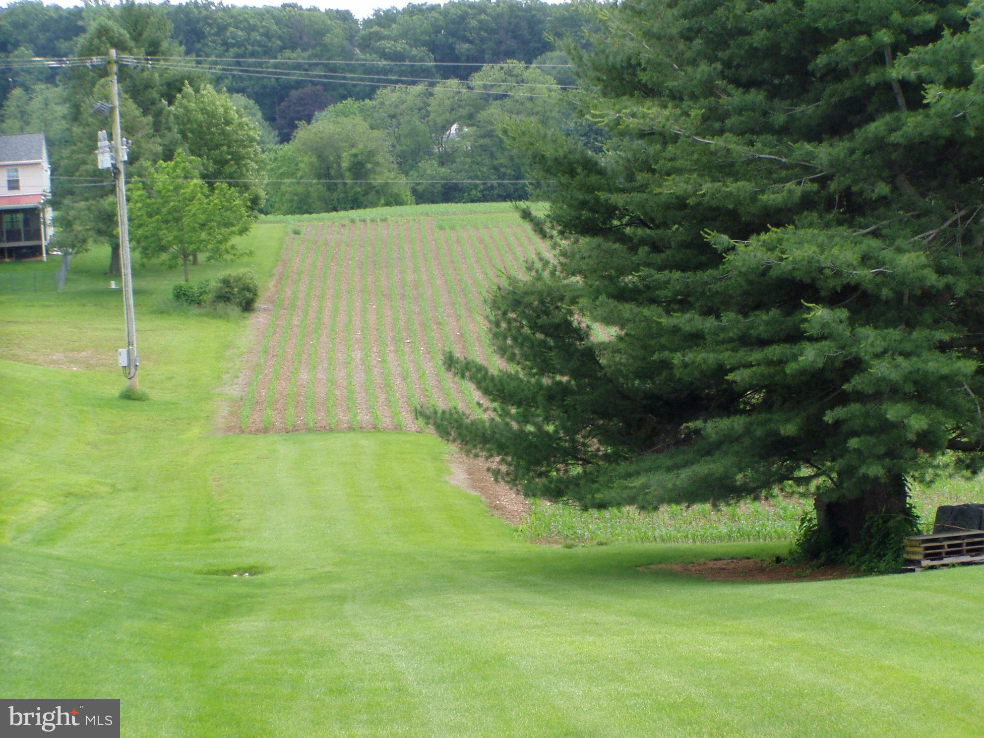 Sherwood Road York, PA 17408 - Photo 2 of 6 View looking from Sherwood Rd.