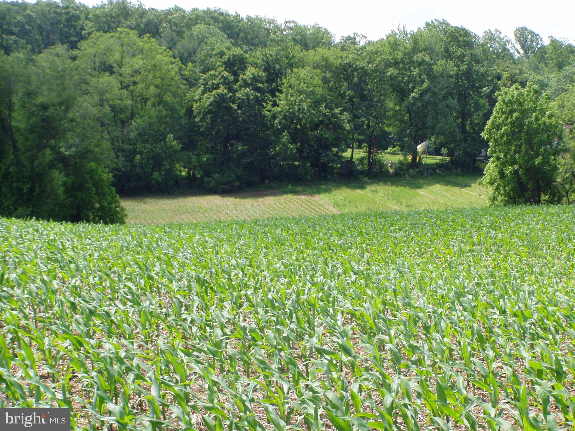 Sherwood Road York, PA 17408 - Photo 3 of 6 Field