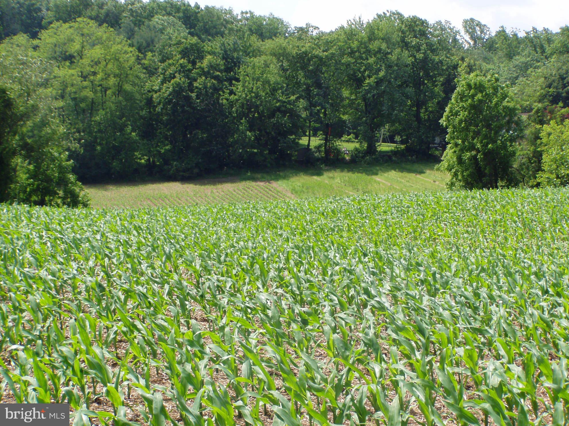 Sherwood Road York, PA 17408 - Photo 5 of 6 Field
