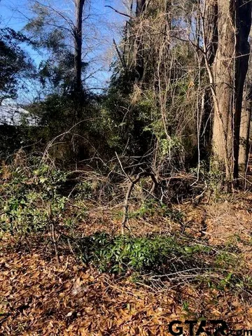 a backyard of a house with lots of plants and trees