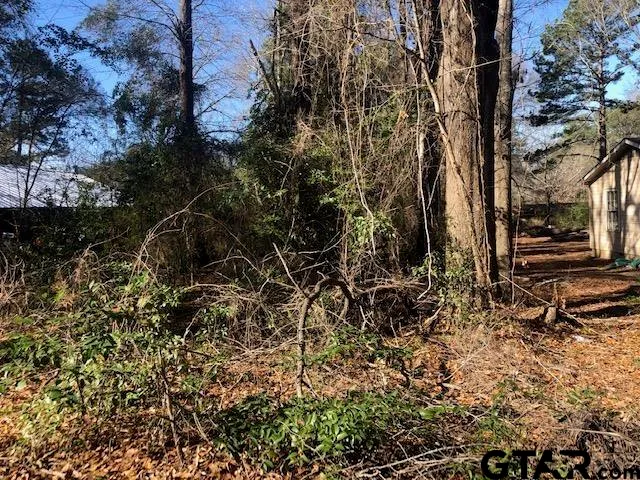 a view of a backyard of the house