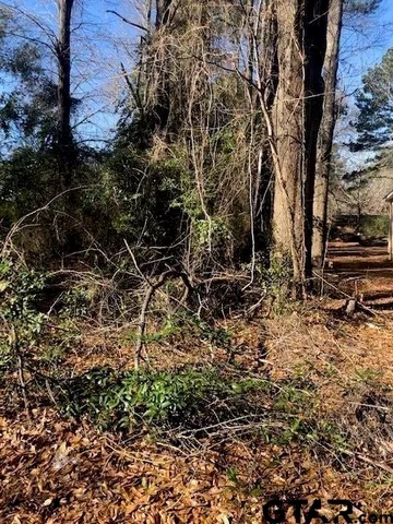 a view of a yard with plants and trees