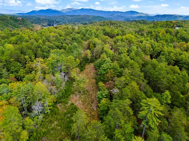 a view of a lush green field