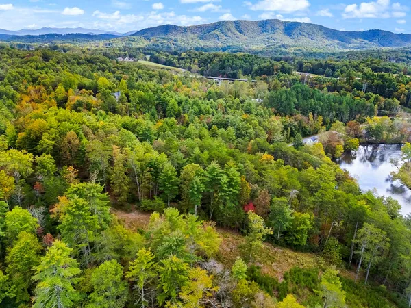 a view of a lush green forest with a building in the back