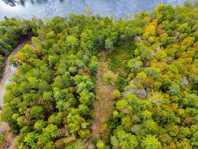 a view of a lush green field