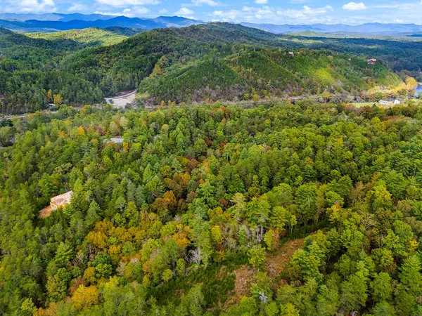 a view of a garden with an trees