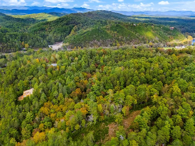 a view of a garden with an trees