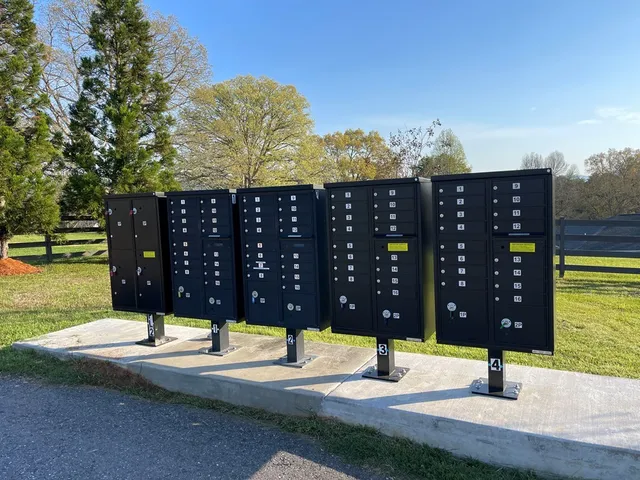 a view of a forest with a lake