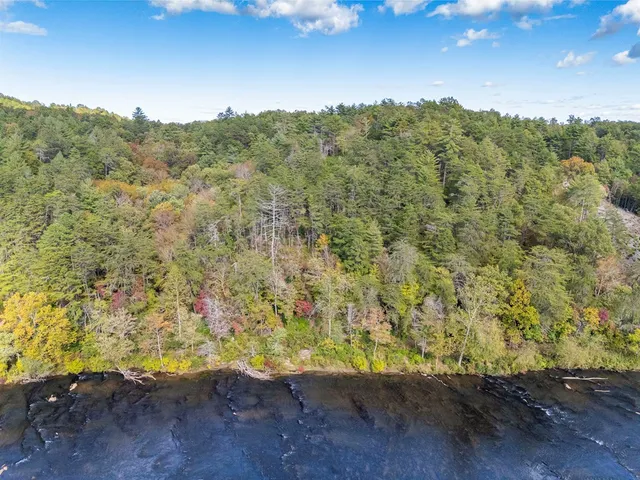 a view of a pathway both side of yard