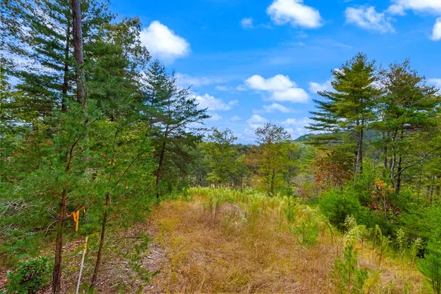 a view of lake with green space