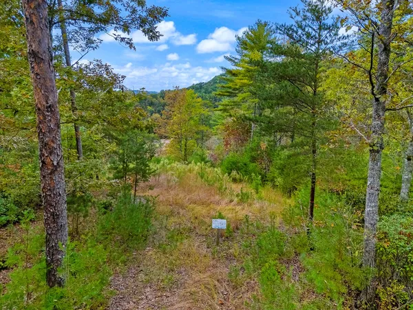 a view of outdoor space and city view