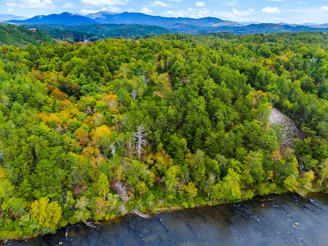 a view of a lush green field with a mountain in the background