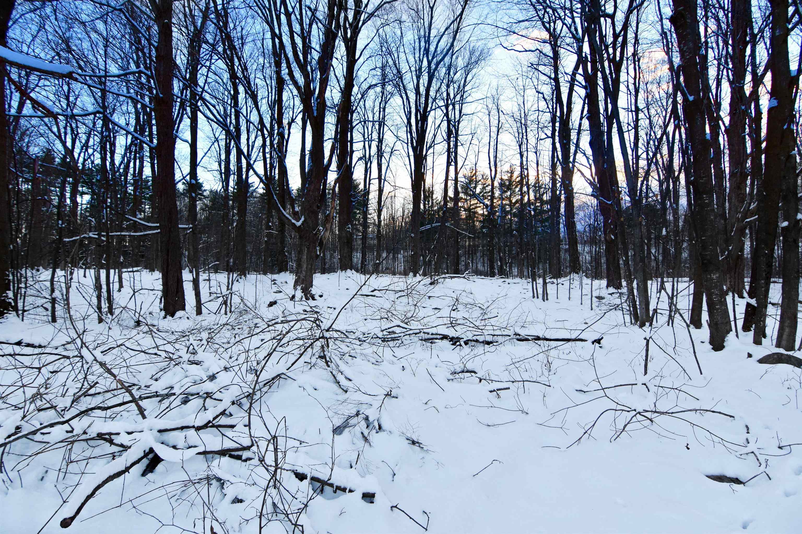 871 Cold River Road Clarendon, VT 05759 - Photo 6 of 40 Gallery Image 6