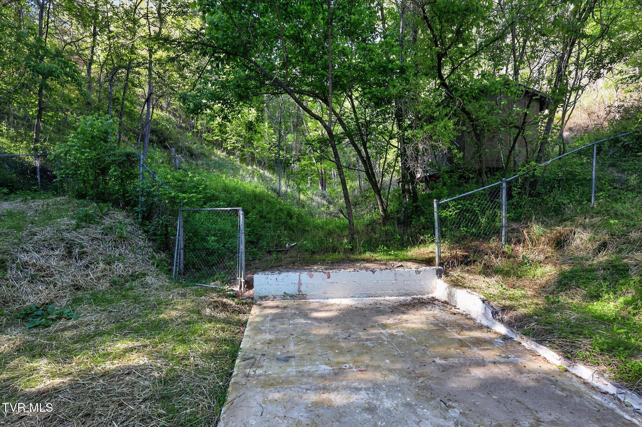 1238 Ruritan Run Road Gate City, VA 24251 - Photo 43 of 45 29-1238-Ruritan-Run-Rd-Windowstill