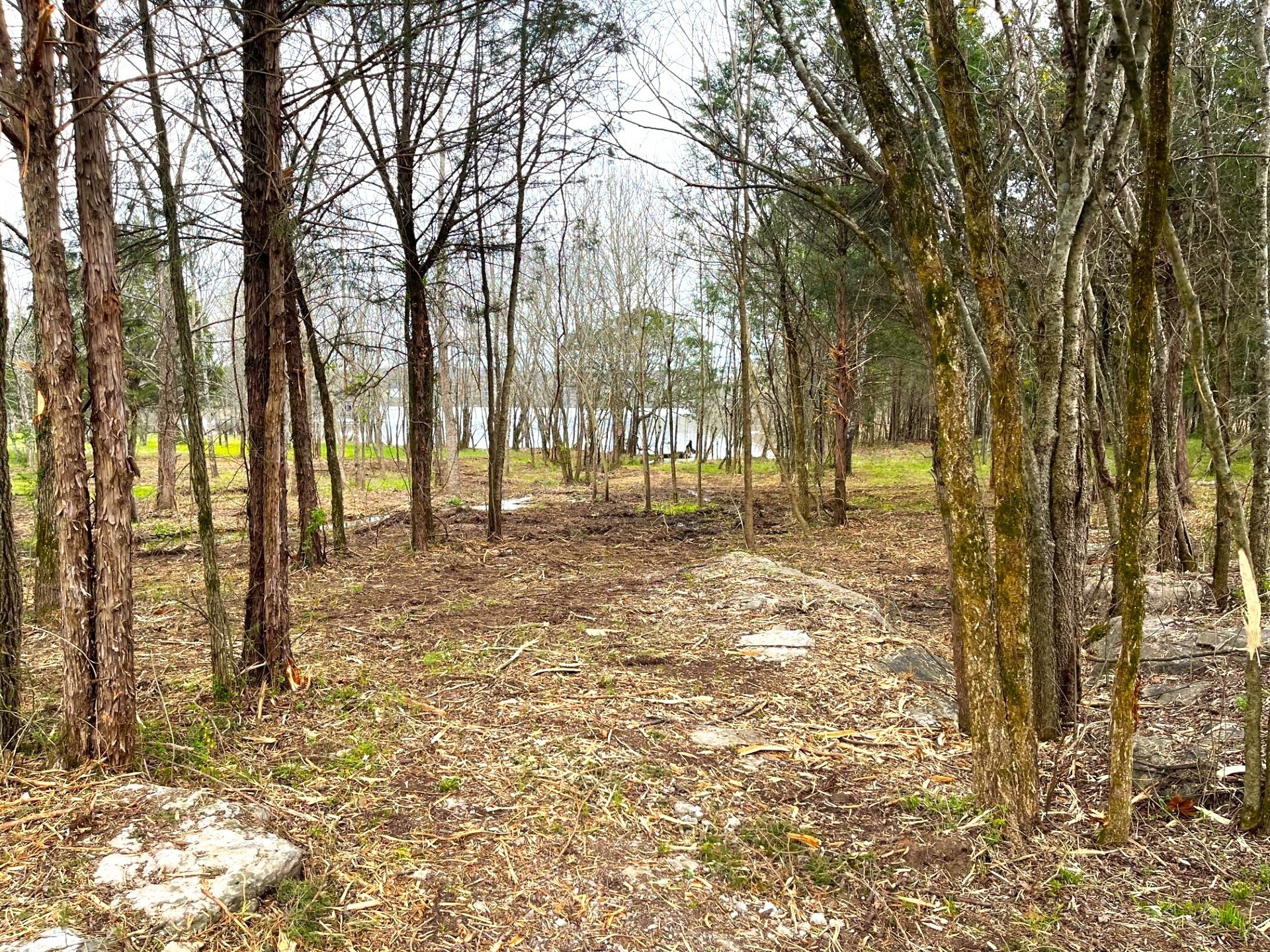 302 Stonebrook Point Lebanon, TN 37087 - Photo 6 of 11 Gallery Image 6