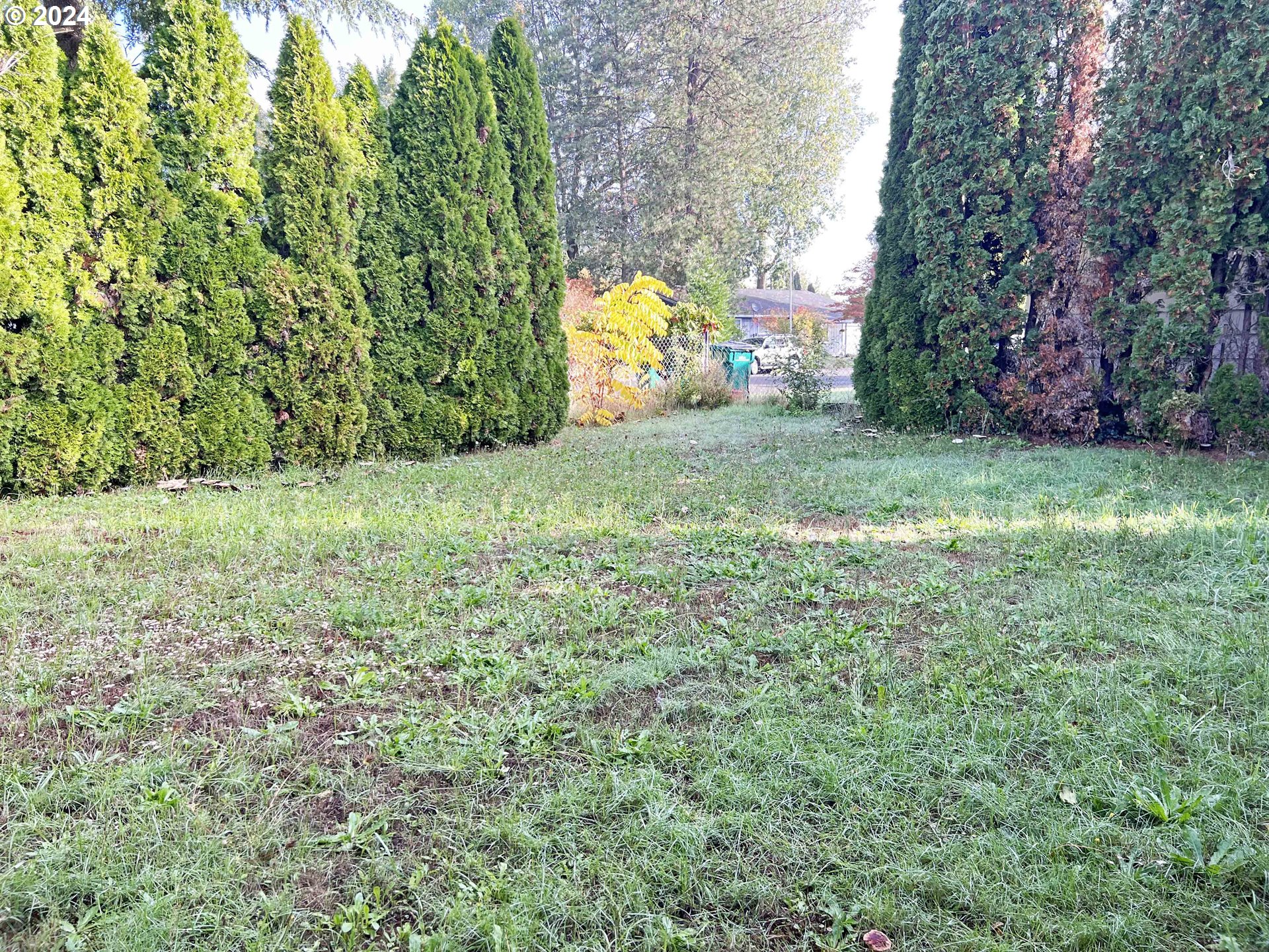 2127 Rhodora Street Forest Grove, OR 97116 - Photo 17 of 34 Gallery Image 17