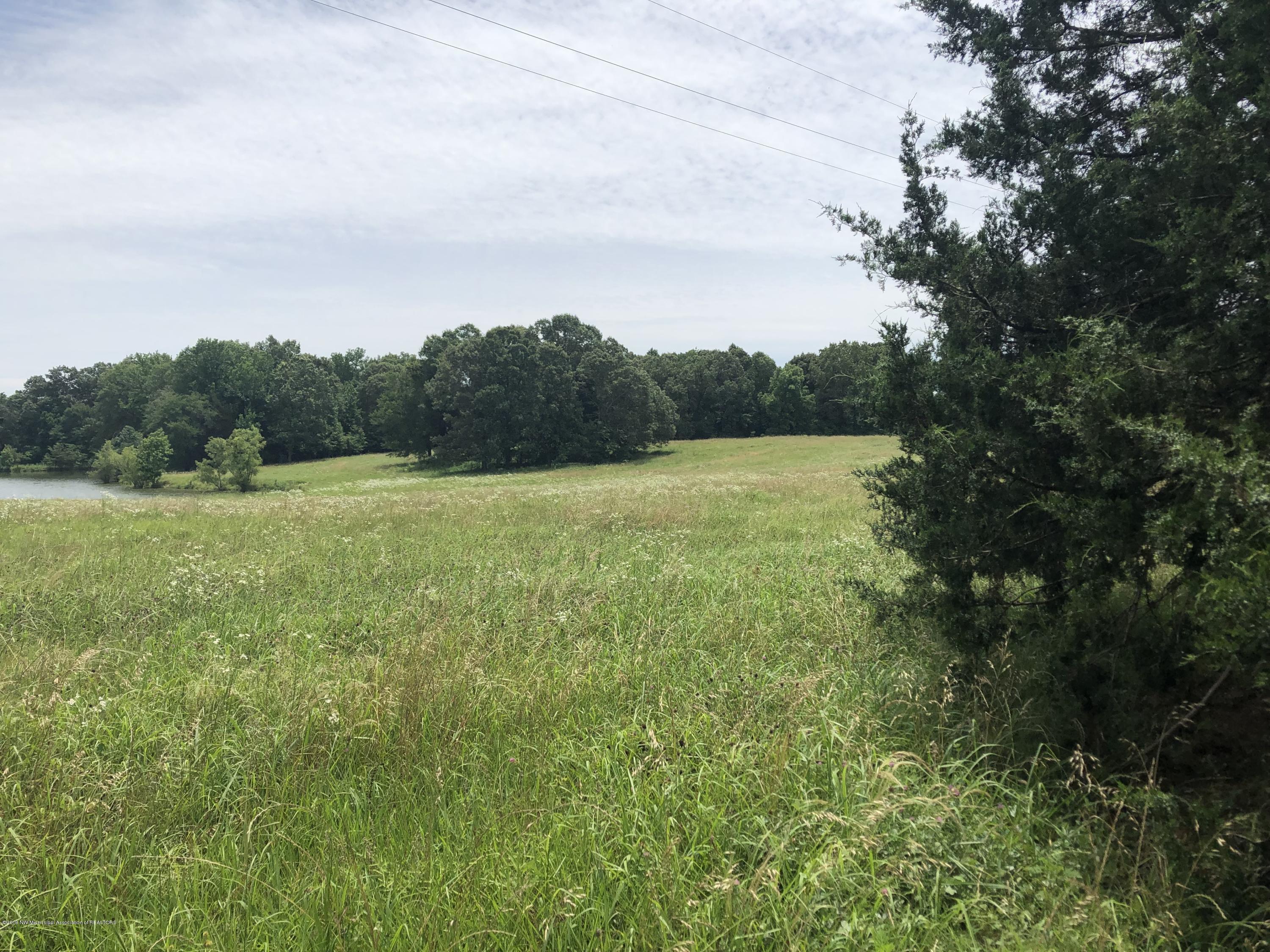 6 Fogg Road South Hernando, MS 38632 - Photo 3 of 4 DDC8198D-DEF8-400B-BA71-CF4768F785DD