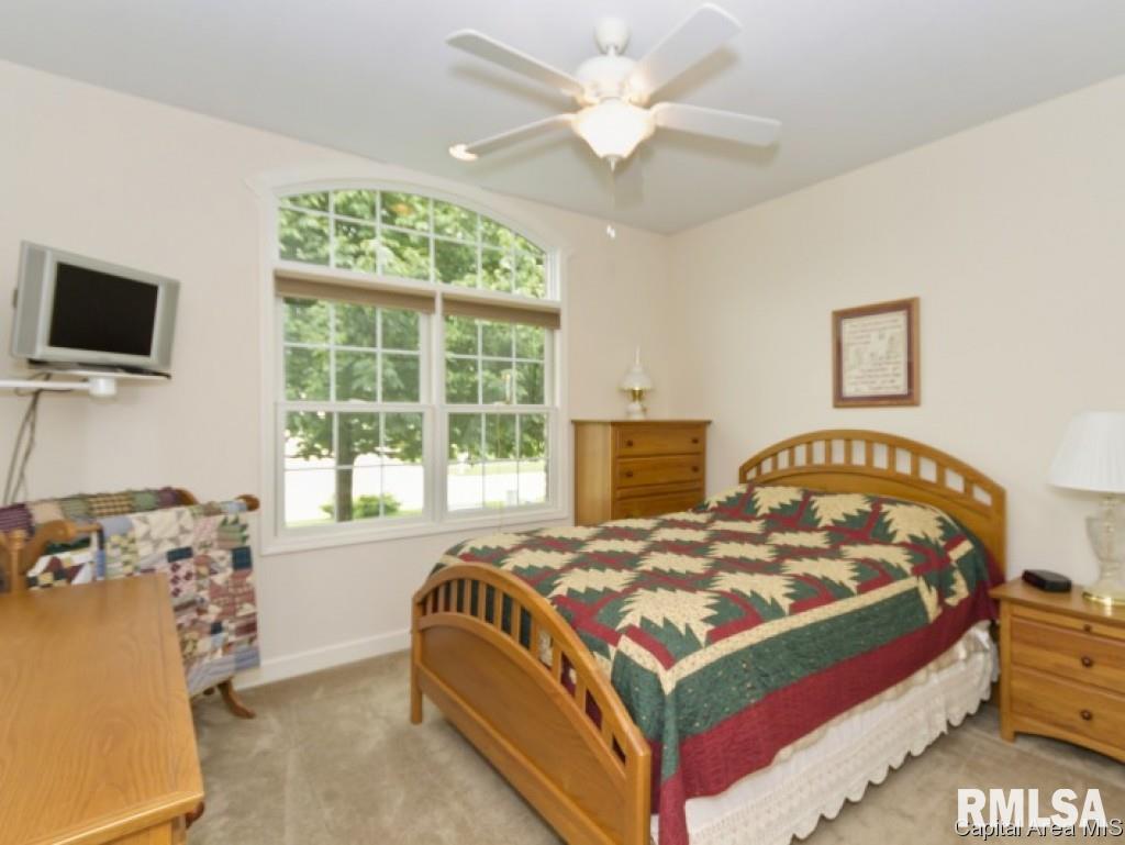 516 Burberry Lane Rochester, IL 62563 - Photo 16 of 19