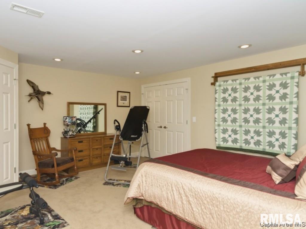 516 Burberry Lane Rochester, IL 62563 - Photo 17 of 19